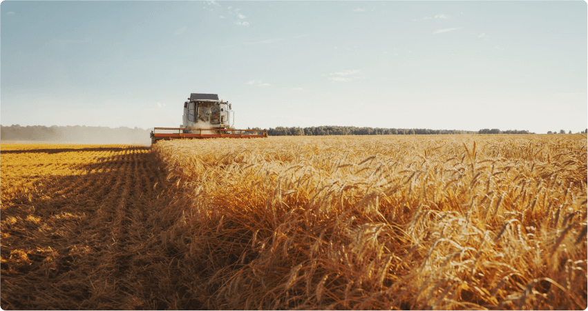 Господдержка аграриев, рекордные урожаи и продовольственная безопасность страны. Как Россия вернула мировое лидерство в сельском хозяйстве?