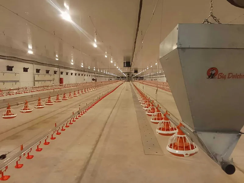 На птицефабрике в Нижегородской области построили бройлерную площадку