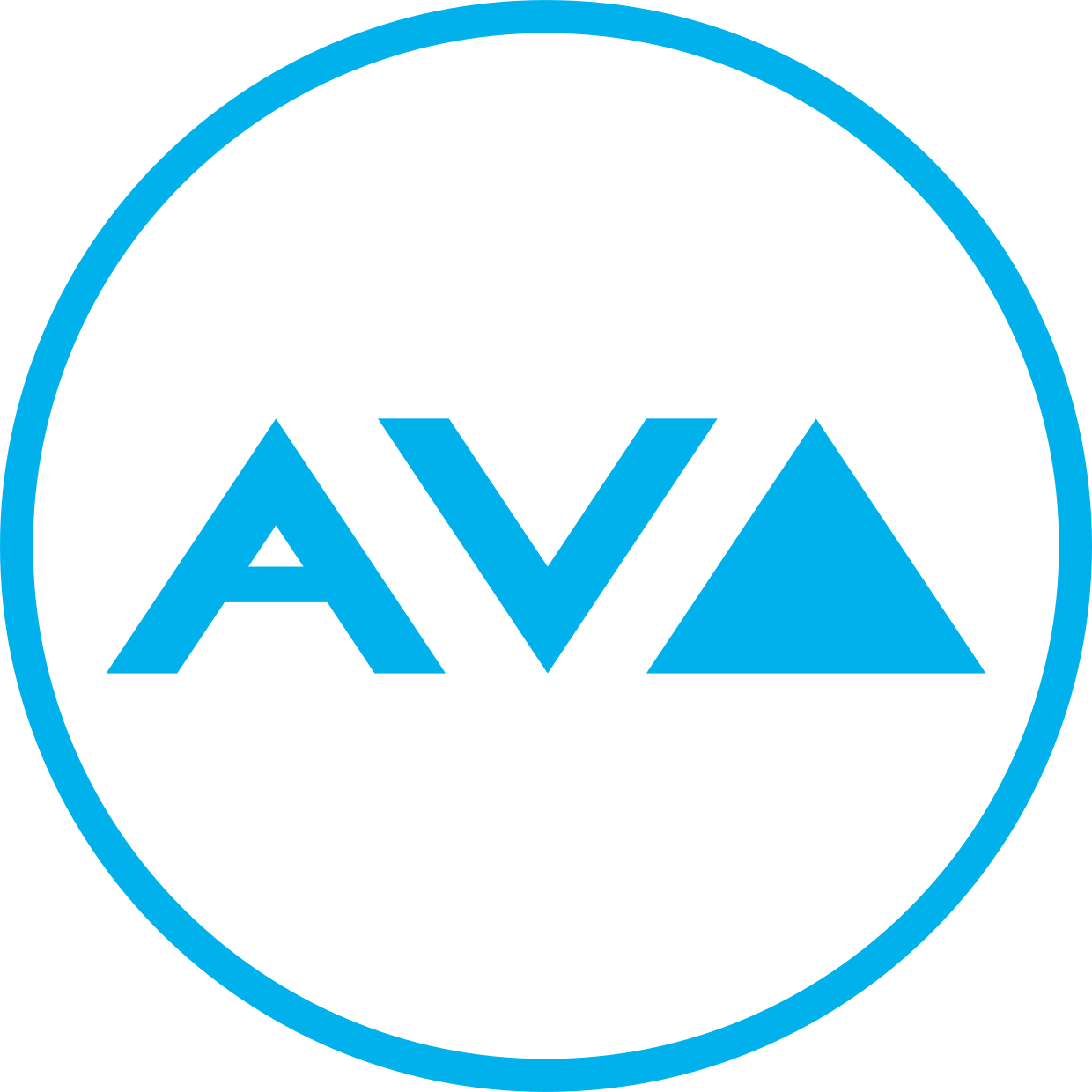 AV Group