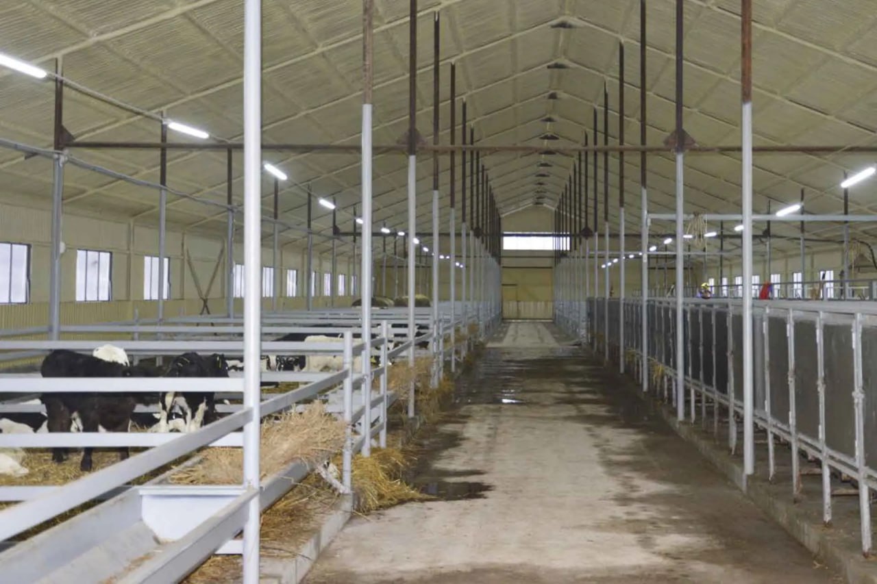 В Алнашском районе Удмуртии открыли новый телятник-профилакторий