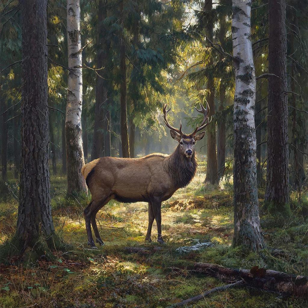 В Госдуме обсудили Стратегию развития охотничьего хозяйства до 2035 года