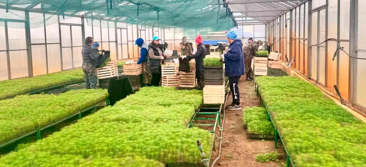 Тепличный комплекс установят в Мухоршибирском районе Бурятии
