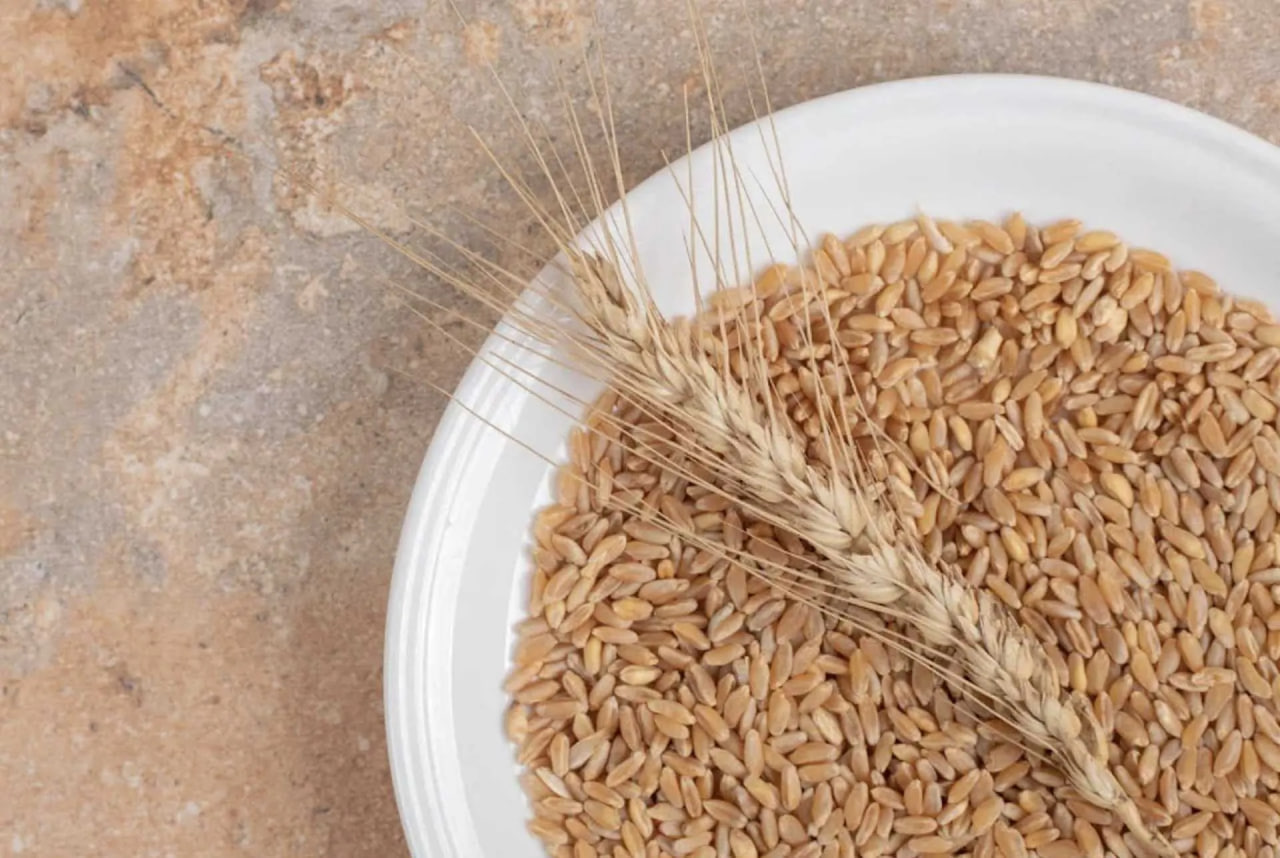 С начала года из Прикамья в Киргизию отправили 704 тонны пшеничных отрубей