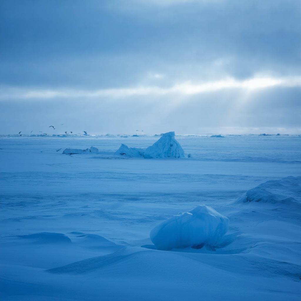 Дополнительный 450 млн рублей выделили на 71-й Российскую антарктическую экспедицию