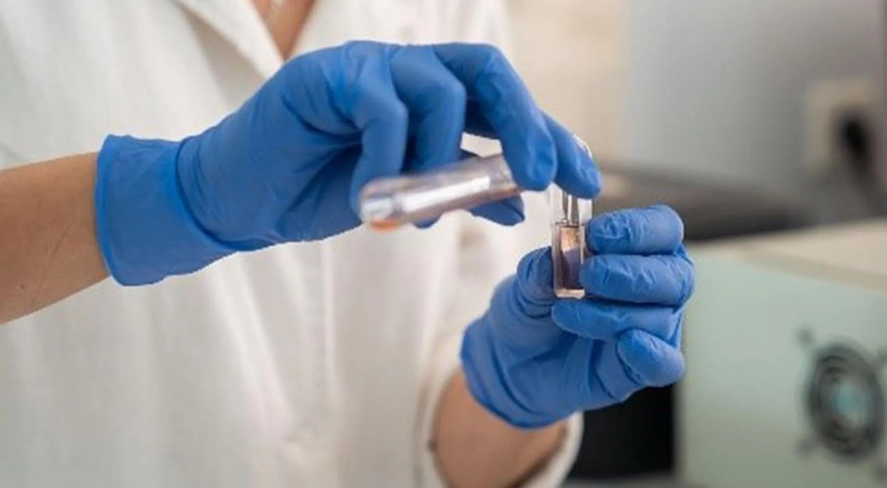 В Сочи выявили участки ДНК отечественного чая, влияющие на морозостойкость