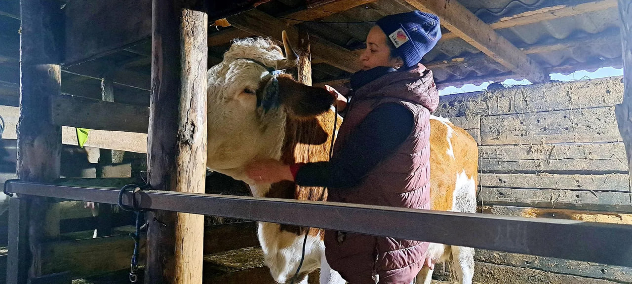 В Воронежской области за год заключили более 3,5 тысячи соцконтрактов