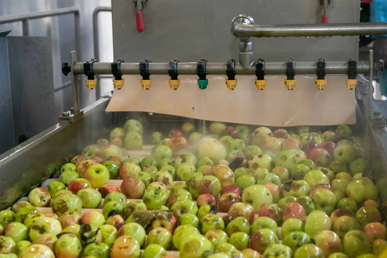 В Волгоградской области за год собрали более 150 тысяч тонн плодов и ягод