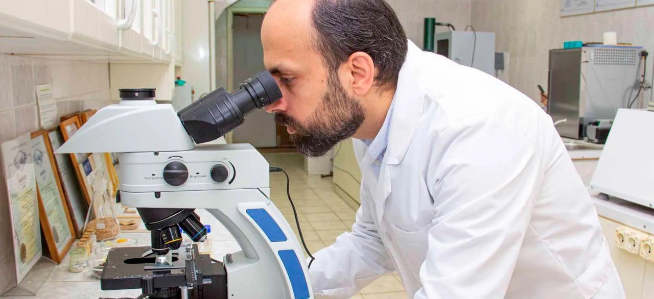 На Урале изучили, как традиционная китайская медицина влияет на опухоли