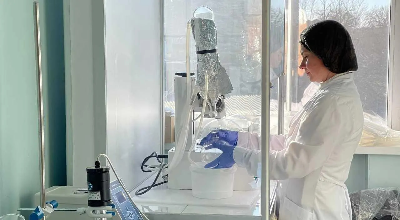 В 2025 году 40 компаний Дона получили господдержку на создание брендов