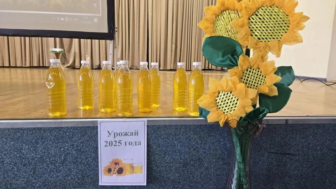 В Усть-Лабинском районе Кубани прошел чемпионат «Сеем будущее»