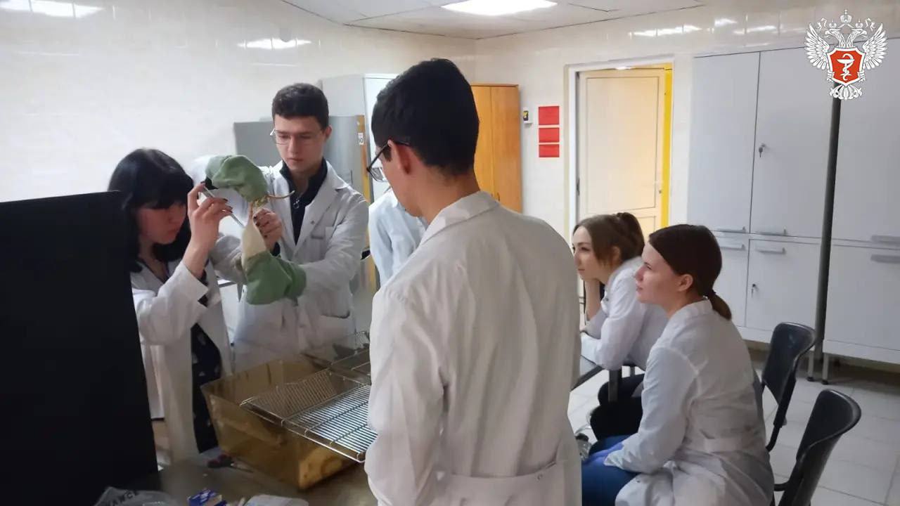 Российские ученые разрабатывают новый препарат для нормализации работы печени