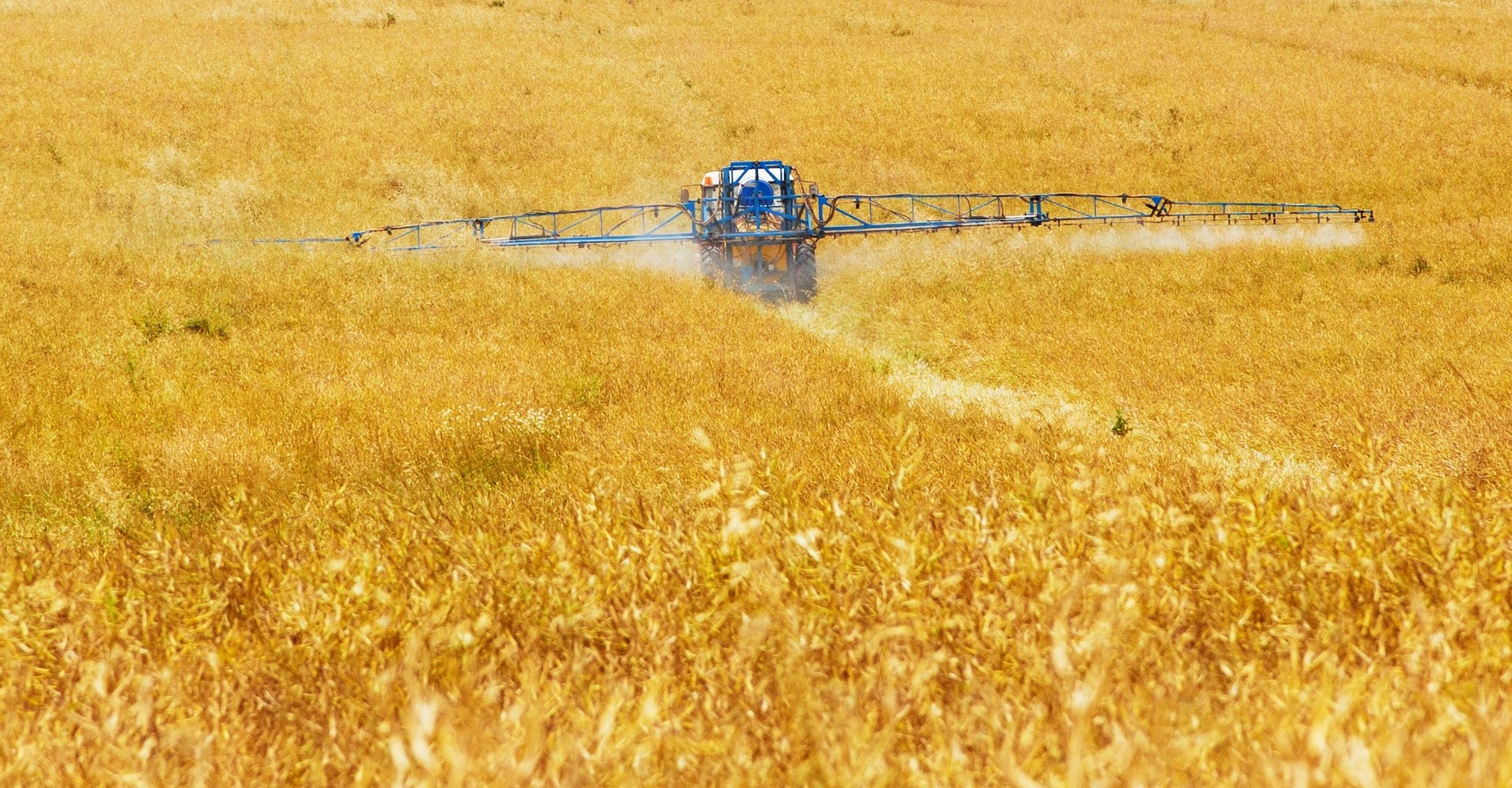 AgroKhimProm calificó de forzada la recomendación del Ministerio de Industria y Comercio de no exportar fertilizantes