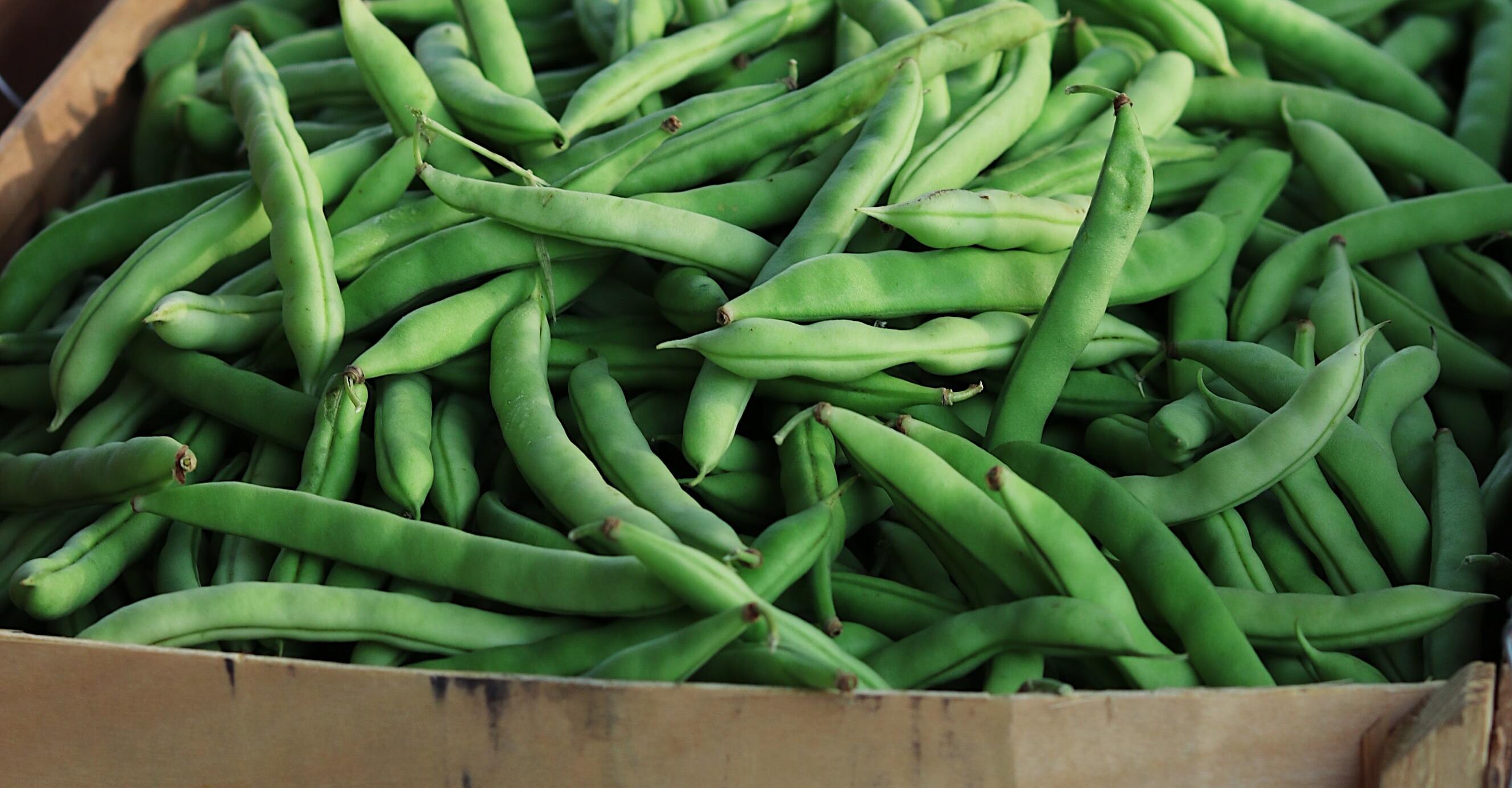 An agricultural company from Barnaul shipped dried peas to Korea