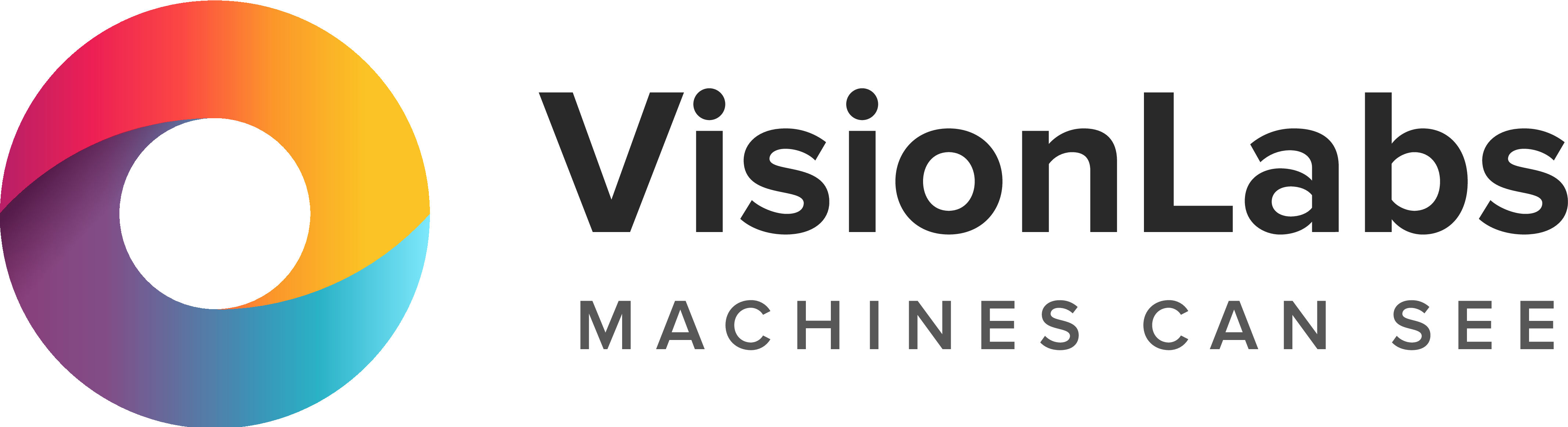 VisionLabs