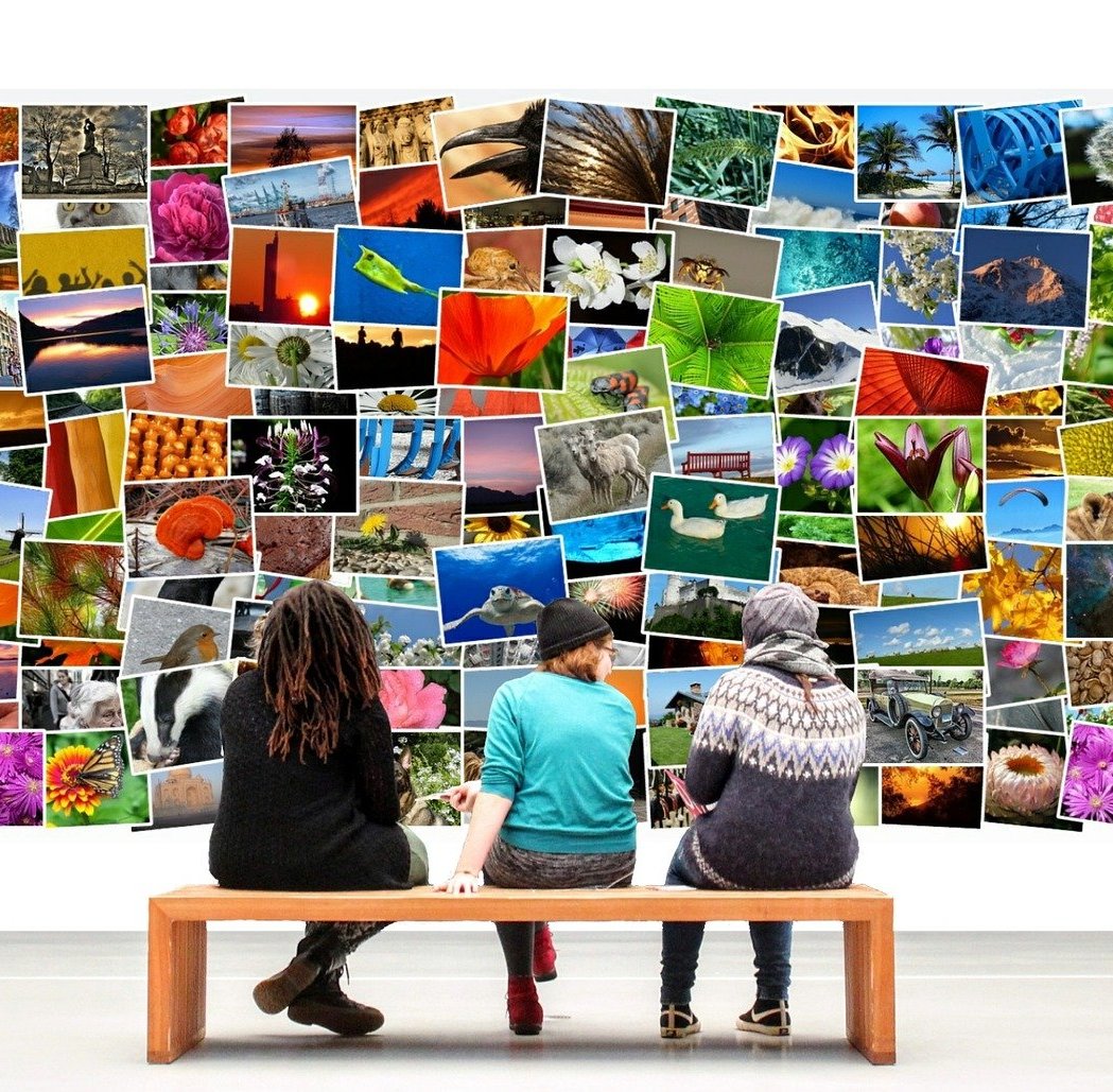 В московской Alpert Gallery состоялась первая персональная выставка эко-художника Александра Чеглакова