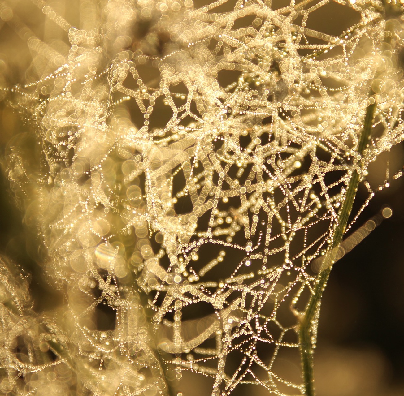 НТЦ «Модуль» выпустил нейровычислитель для реализации искусственного интеллекта на обычном ПК