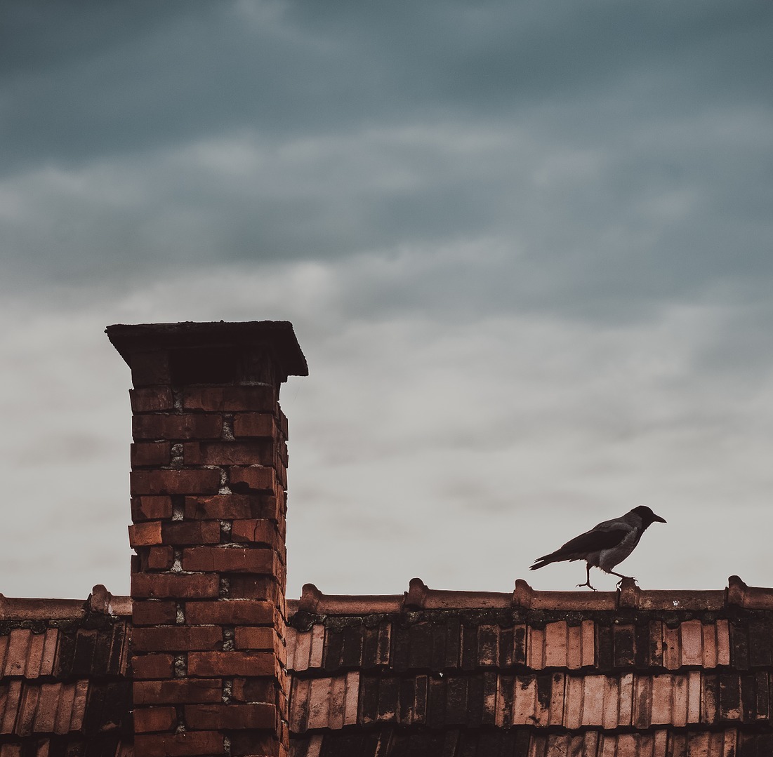 Московская компании «Техно Пласт» начала производить уникальный коньковый аэратор