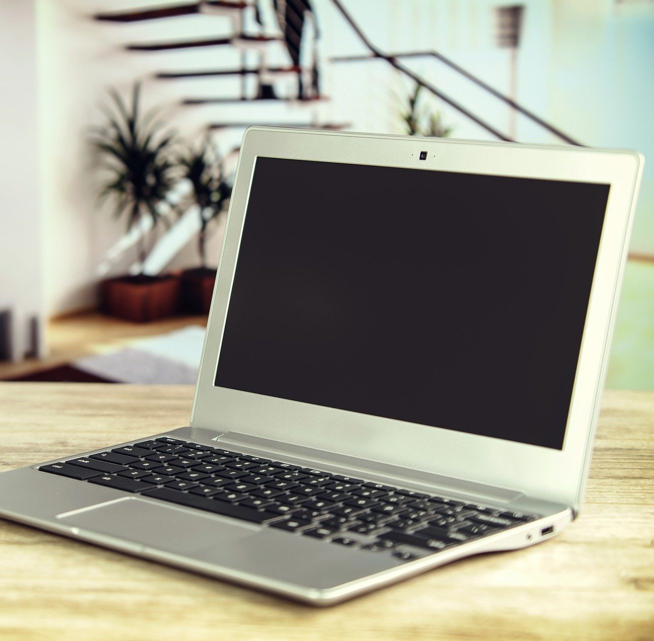 Российская биотехнологическая компания «Клонинг Фасилити» начала выполнять научно-исследовательские работы на заказ