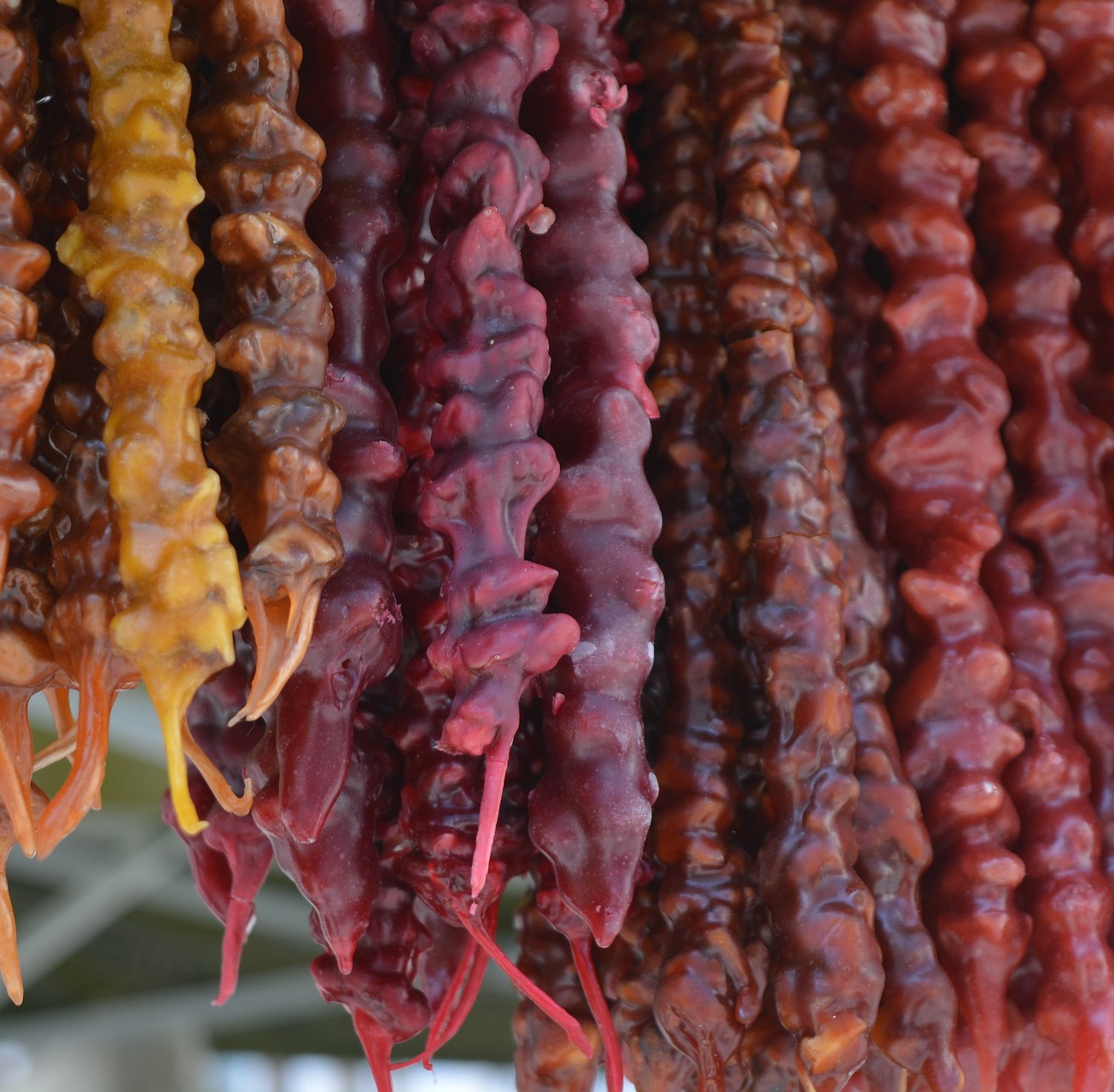 Российский производитель чурчхел «МАДЖО» заключил в 2020 году первый экспортный контракт