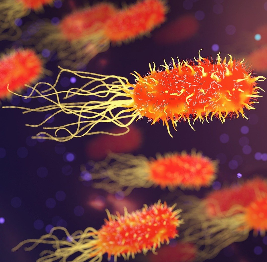 Компания «Фотокор» разработала первую модель выявления уровня биологических частиц в режиме онлайн